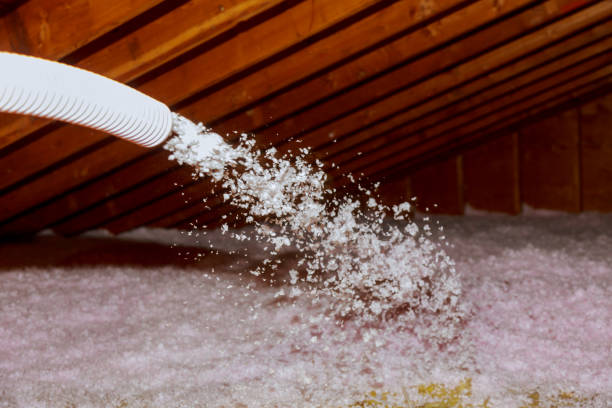 Best Geographic-Specific Insulation Services in Holualoa, HI