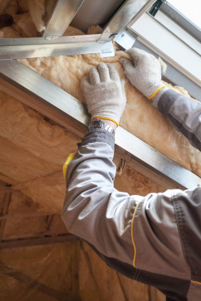 Best Spray Foam Insulation in Holualoa, HI
