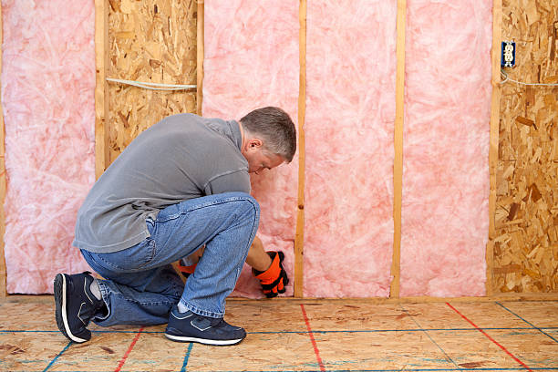 Best Specialized Insulation Services in Holualoa, HI