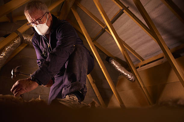 Best Cellulose Insulation in Holualoa, HI
