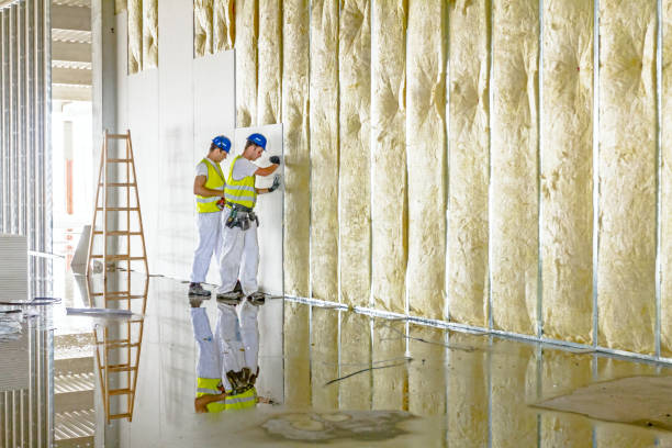 Best Geographic-Specific Insulation Services in Holualoa, HI